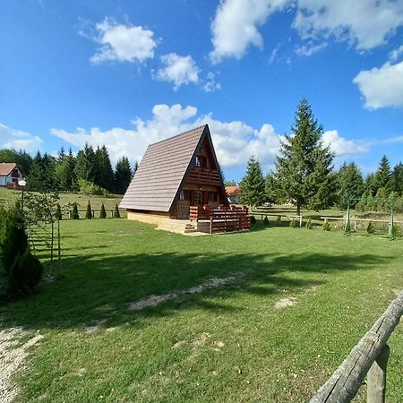 Villa Mountain House Tadic 1 Bajina Basta Exterior foto