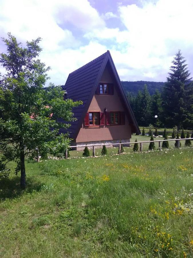 Villa Mountain House Tadic 1 Bajina Basta Exterior foto