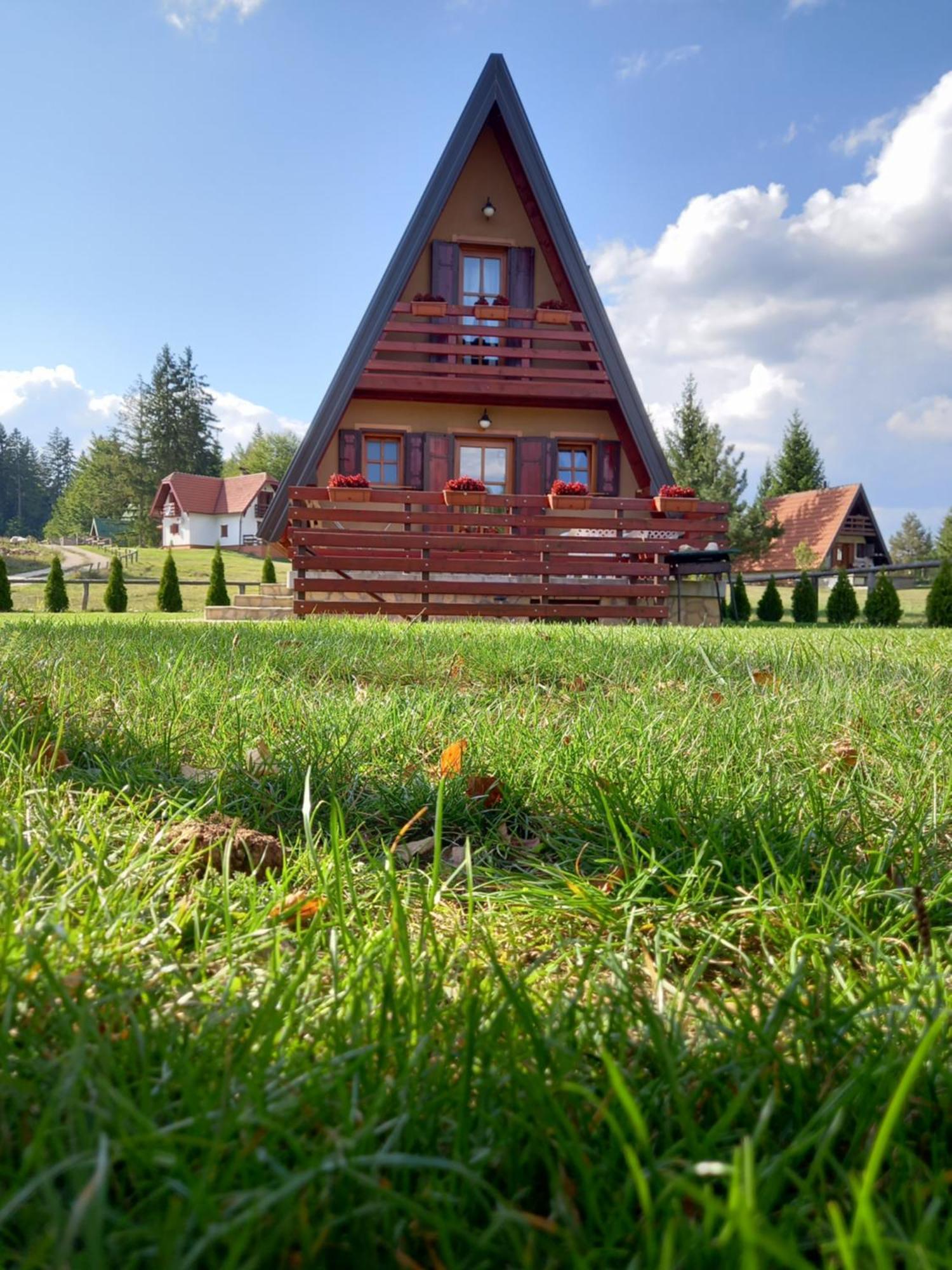 Villa Mountain House Tadic 1 Bajina Basta Exterior foto