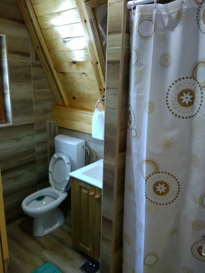 Villa Mountain House Tadic 1 Bajina Basta Exterior foto