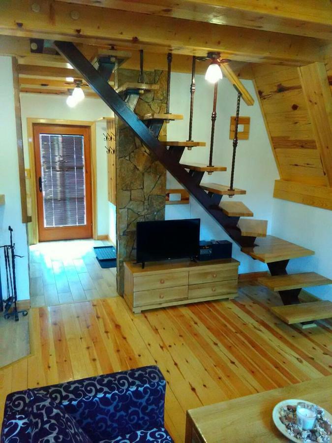 Villa Mountain House Tadic 1 Bajina Basta Exterior foto